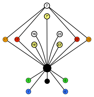Subgroup of Oh; Dih4xC2 07; cycle graph.svg