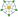 Yorkshire rose.svg