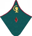 петлица 1937