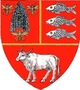 Actual Vaslui county CoA.png