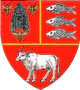 Actual Vaslui county CoA.png