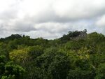 Calakmul23.jpg