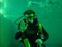 Diving signal stop.jpg