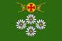 Flag of Polevoe.png