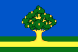 Флаг