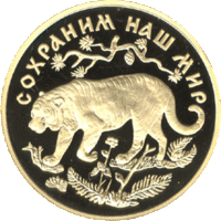 RR5219-0004R Амурский тигр.gif