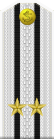 Russia-Navy-OF-4-1994-white.svg