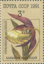 1991 CPA 6315.jpg