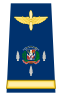 Capona coronel fuerza aerea dominicana.svg