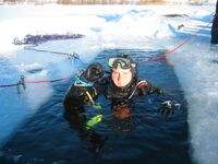 Diving signal ok handshoe.jpg