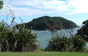 Goat island NZ.jpg