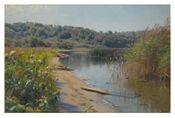 SUMMER REFLECTIONS ON A LAKE, SILKEBORG.jpg