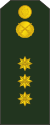 08-Moldovan Army-CWO.svg