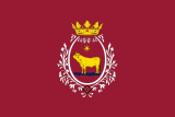 Флаг