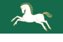 Flag of Uchalinsky rayon (version).svg