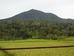 Gunung-pulosari-1.jpg