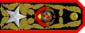Project of the Generalissimo of the USSR's rank insignia - Variant 5.png