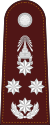 RTP OF-9 (Police General).svg