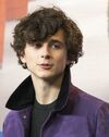 Timothée Chalamet at Berlinale 2017 (cropped).jpg
