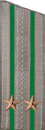 погоны 1969
