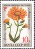 1973 CPA 4274 mint.jpg