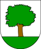 Abaltzisketa CoA.svg