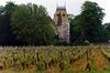 Aloxe-corton-21.jpg