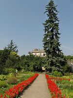 Kraków - ogród botaniczny;;;;;;.jpg