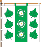 Флаг