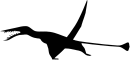 Rhamphorhynchus Silhouette.svg