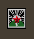 Ркка 1919саптелегр.png