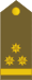 14-APM-COL.svg
