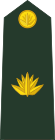 Bangladesh-army-OF-3.svg