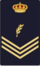 Cnpdivisme6.png