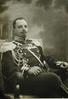 Dmitry M. Kniazhevich.jpeg