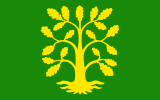 Флаг