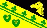 Флаг