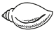 Indian Election Symbol Conch.svg