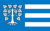Флаг