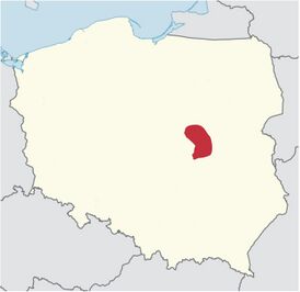 Roman Catholic Archdiocese of Warsaw.jpg
