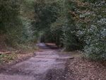 Sutton Park Path.jpg
