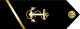 US Navy MIDN 3C infobox.svg