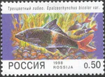 1998. Марка России 0426 hi.jpg