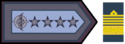 BG-FAA.png