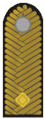 Belarus BKA 1944 parade - Hienieral major.gif
