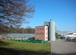 Tallidnan botanine puišt