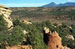 Canyons of the Ancients National Monument.jpg