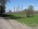Sankt-Peterburg 2012 4532.jpg
