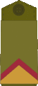 Student rauzvodnik.gif