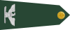US Army O6 shoulderboard rotated.svg